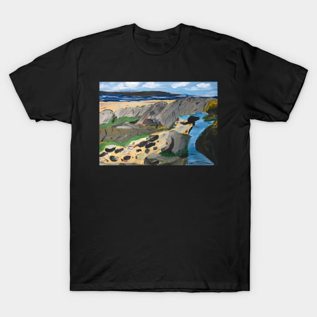 Crawfordsburn Country Park T-Shirt by Colzo Art